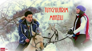 Tuyg'ularim manzili (uzbek kino)