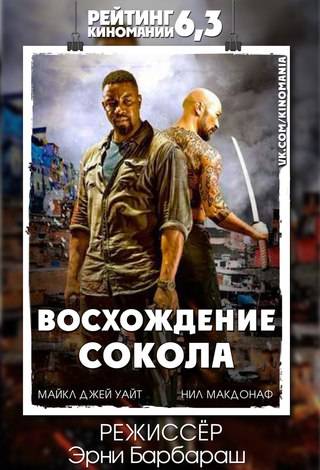 Восхождение Сокола (2014)