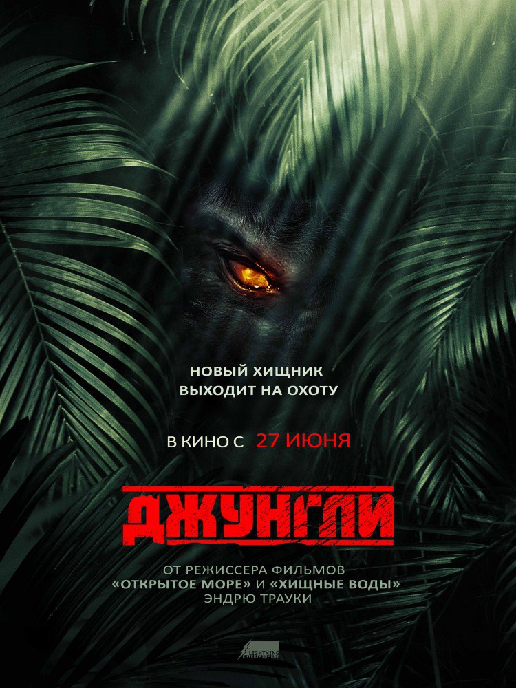 Джунгли 2013